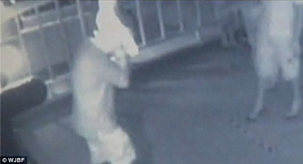 идиотские пари, глупые пари, спор