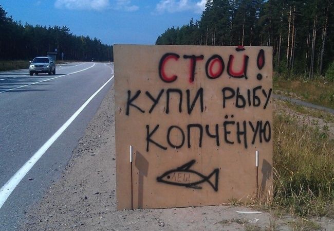 смешные надписи и объявления, маразмы