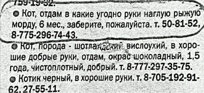 смешные надписи и объявления, маразмы