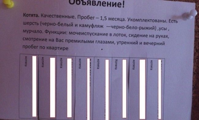 смешные надписи и объявления, маразмы