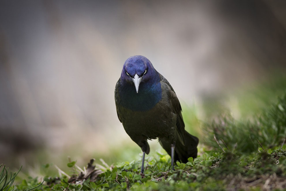  National Geographic Traveler 2014