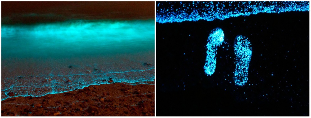 12 красивейших и живописных пляжей, которые стоит посетить в свой летний отпуск 12 красивейших пляжей, живописные пляжи