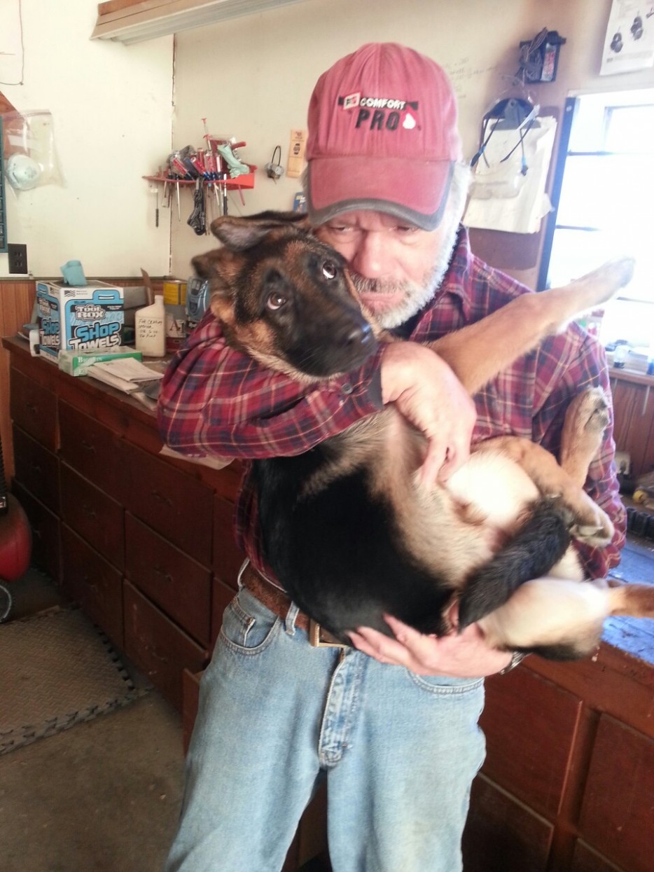 первый раз собаки, первые разы в жизни собак, смешные собаки фото, смешная собака gif