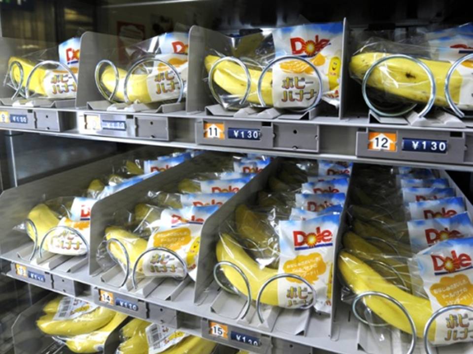 Удивительные факты о Японии, которые станут для вас открытием Удивительные факты о Японии