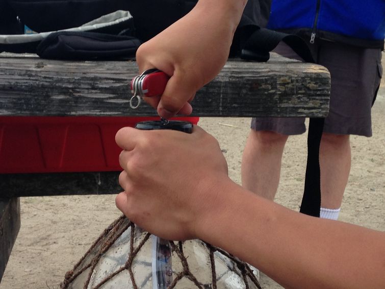 история сообщения в бутылке, история послания в бутылке, трогательное послание в бутылке