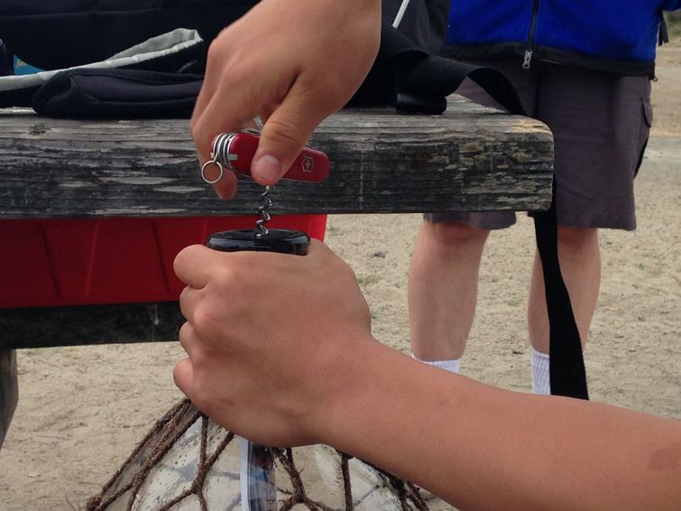 история сообщения в бутылке, история послания в бутылке, трогательное послание в бутылке