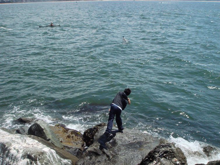 история сообщения в бутылке, история послания в бутылке, трогательное послание в бутылке