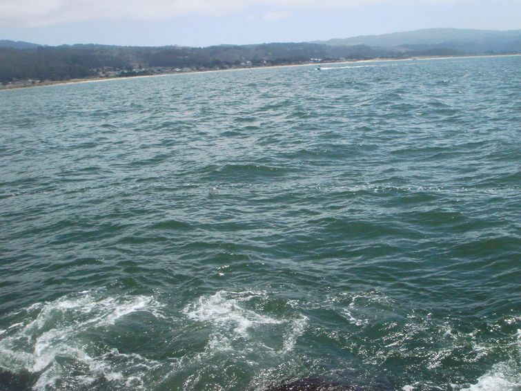 история сообщения в бутылке, история послания в бутылке, трогательное послание в бутылке