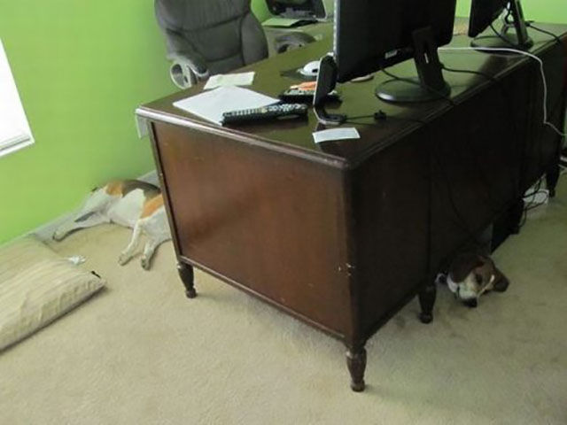 Смешные и удивительные фотографии, фотогарфии заставят вас взглянуть дважды