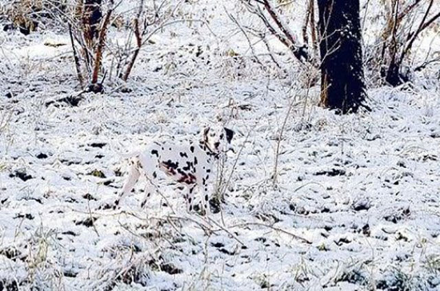 Смешные и удивительные фотографии, фотогарфии заставят вас взглянуть дважды