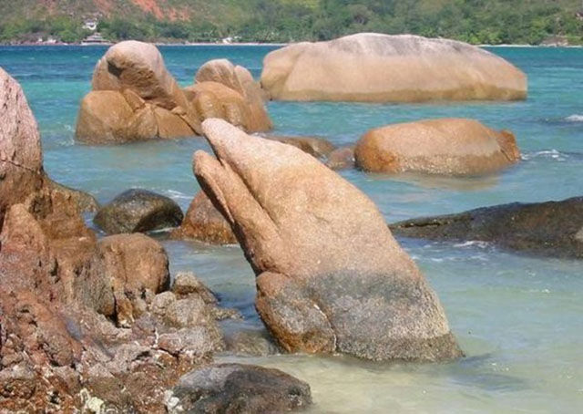 Смешные и удивительные фотографии, фотогарфии заставят вас взглянуть дважды