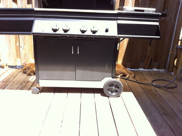 Смешные и удивительные фотографии, фотогарфии заставят вас взглянуть дважды