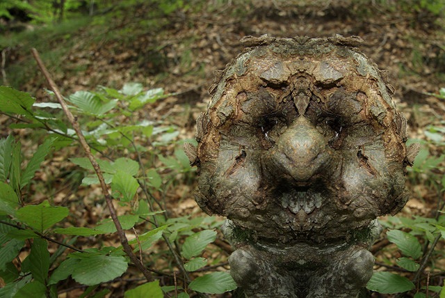 реальные дендроиды, настоящие дендроиды, фотограф лица деревьев, зеркальное отражение деревья, Элайдо Турко, Elido Turco