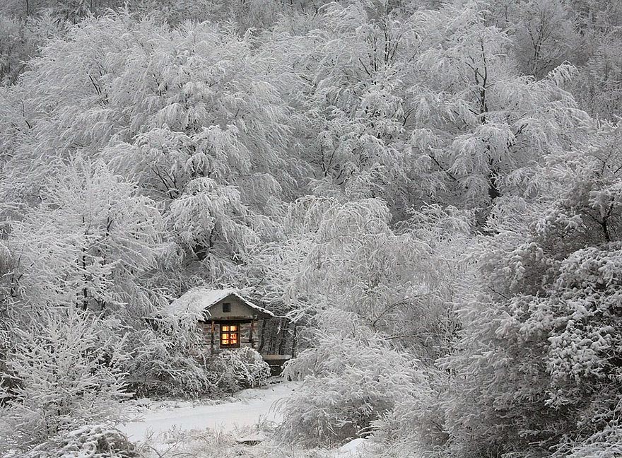 домик в лесу, снежные пейзажи