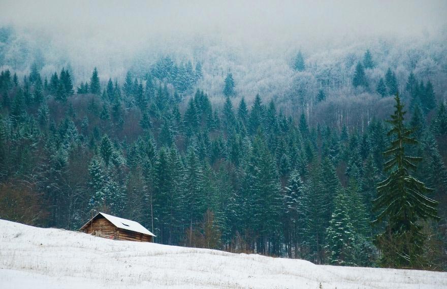 домик в лесу, снежные пейзажи