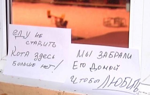 Позитив, юмор, смешные фотографии,прикол