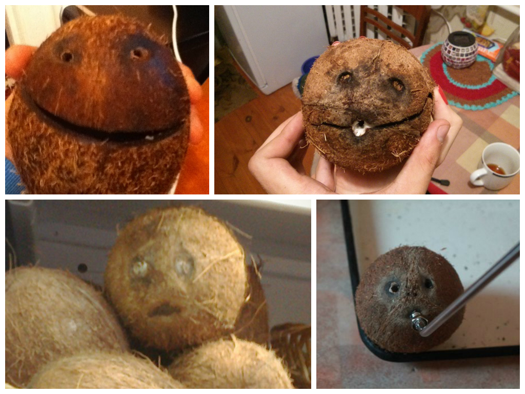  легенды, мифы,  происхождении фруктов, странное