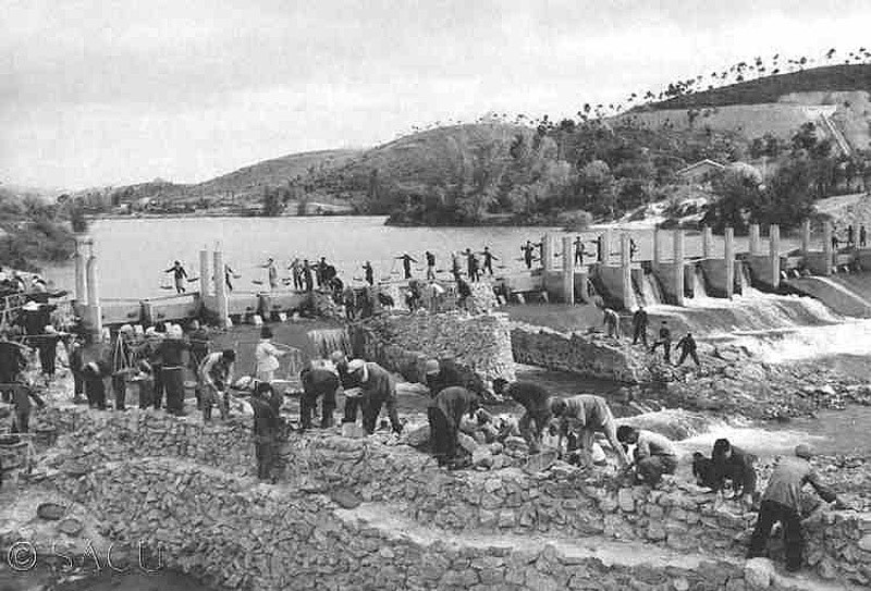 голод и каннибализм, блокада ленинграда 