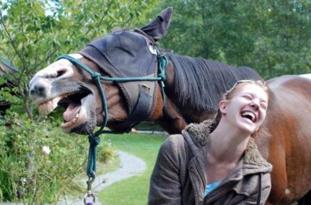 лучший день в жизни, заряд позитива, позитивные фото, мечты сбываются