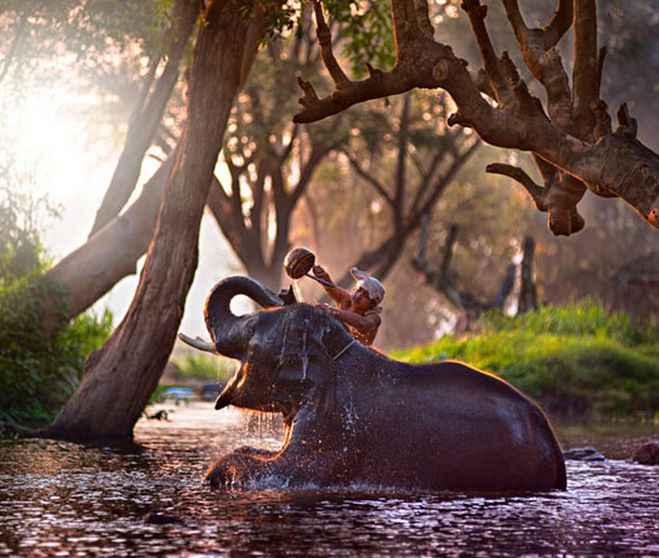 лучший день в жизни, заряд позитива, позитивные фото, мечты сбываются
