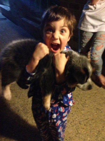 лучший день в жизни, заряд позитива, позитивные фото, мечты сбываются