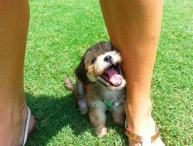 лучший день в жизни, заряд позитива, позитивные фото, мечты сбываются