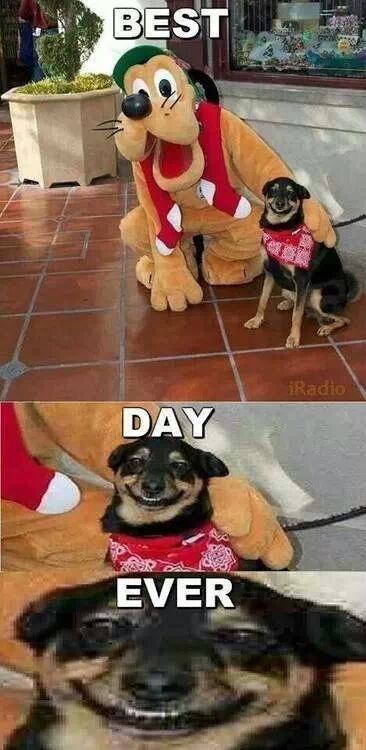 лучший день в жизни, заряд позитива, позитивные фото, мечты сбываются