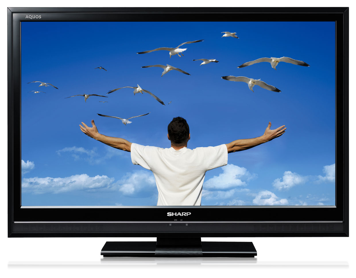 Значение названий самых популярных брендов