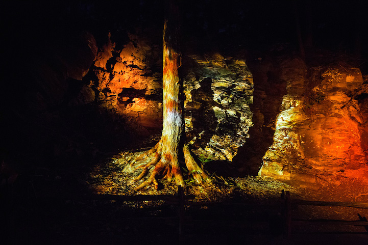 Foresta Lumina, Люминесцентный парк, ущелье Коатикук, Coaticook 
