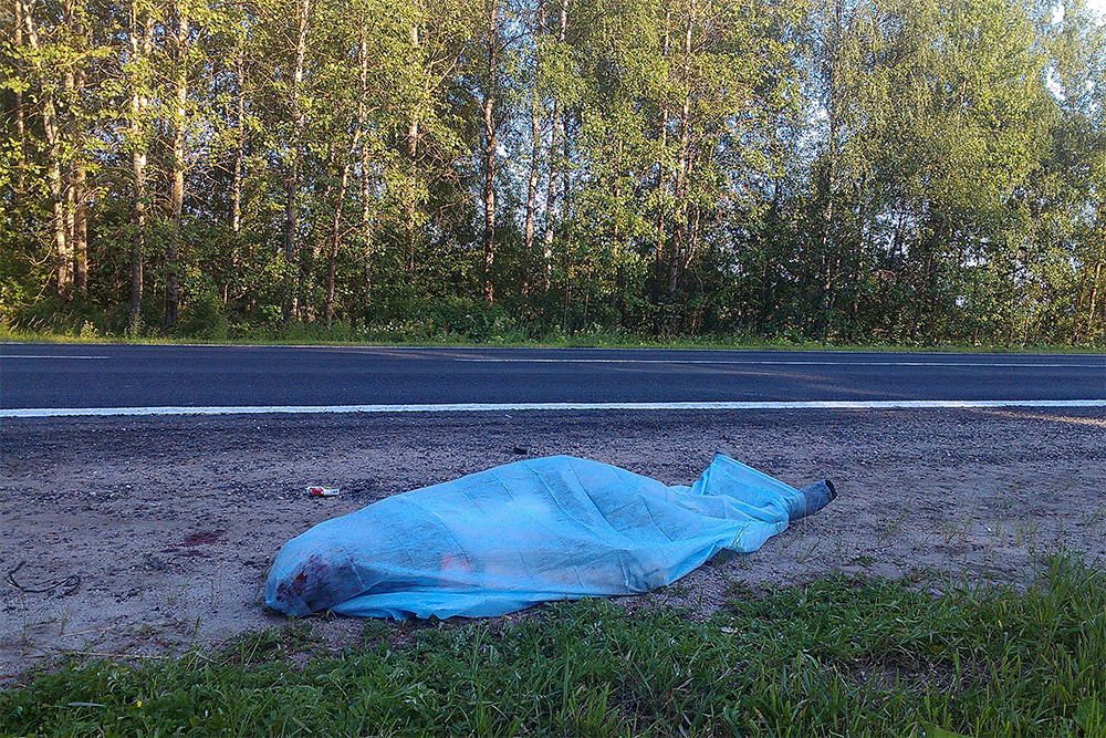 пьяный водитель сбил Рона Макгерити, Рон Макгерити был насмерть сбит в России, Рон Макгерити