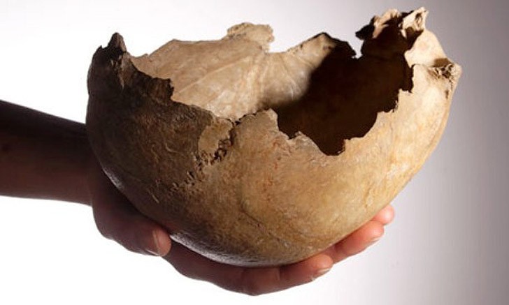 Занимательные факты об алкоголе, которые станут для вас открытием факты об алкоголе, алкоголь