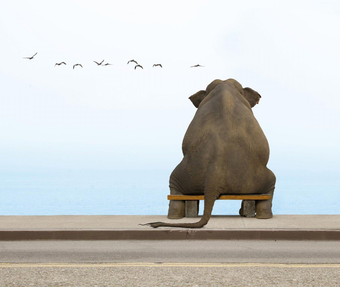 мыли которым нет места в новом году, негативные мысли, позитивное мышление