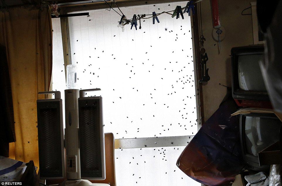 Lonely Death Squads, Отряд одинокой смерти, служба опустошения домов умерших стариков, служба уборки домов усопших стариков, японская служба уборки умерших люде