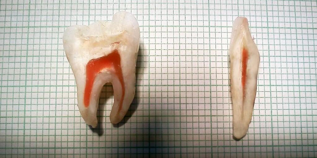необычные вещи в разрезе, вещи в разрезе, предметы в разрезе