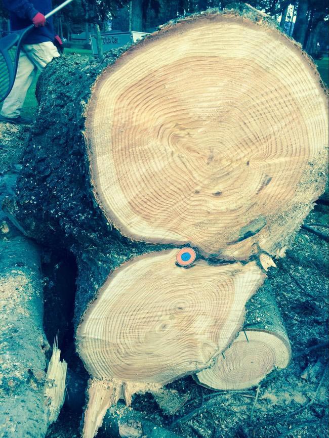 необычные вещи в разрезе, вещи в разрезе, предметы в разрезе