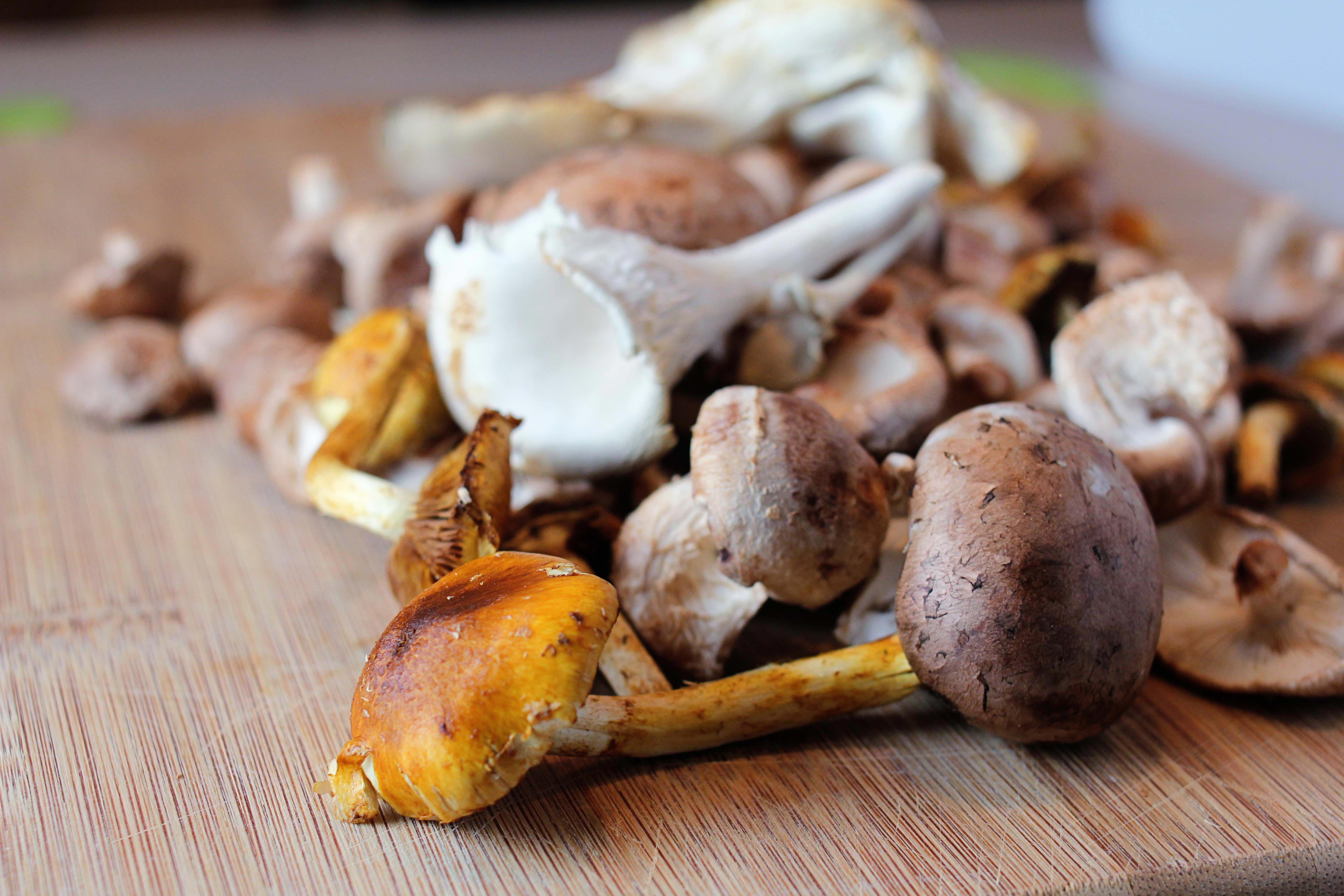 7 коварных продуктов, которые могут стать причиной летних отравлений летние отравления, чего избегать летом, продукты отравления