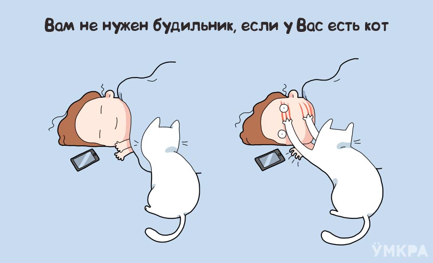 плюсы жизни с котом, преимущества жизни с котом