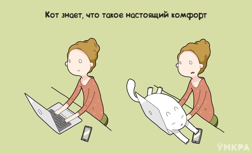 плюсы жизни с котом, преимущества жизни с котом