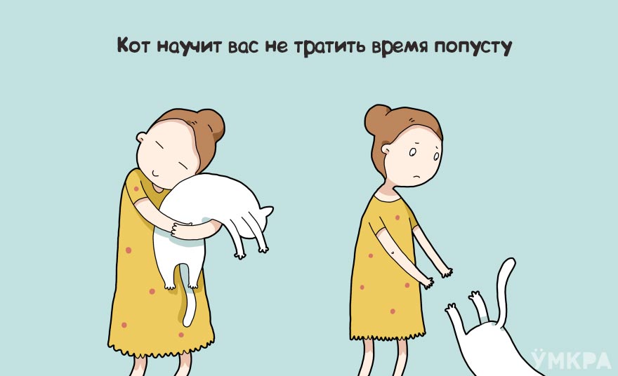 плюсы жизни с котом, преимущества жизни с котом