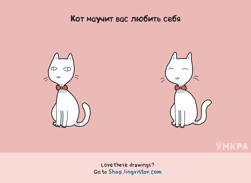 плюсы жизни с котом, преимущества жизни с котом