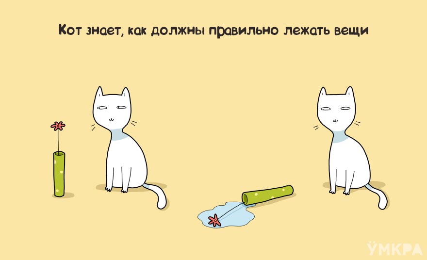 плюсы жизни с котом, преимущества жизни с котом