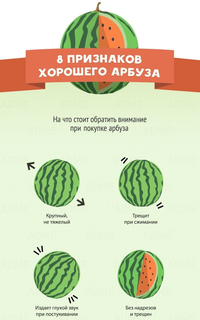 как выбрать арбуз, как выбрать дыню