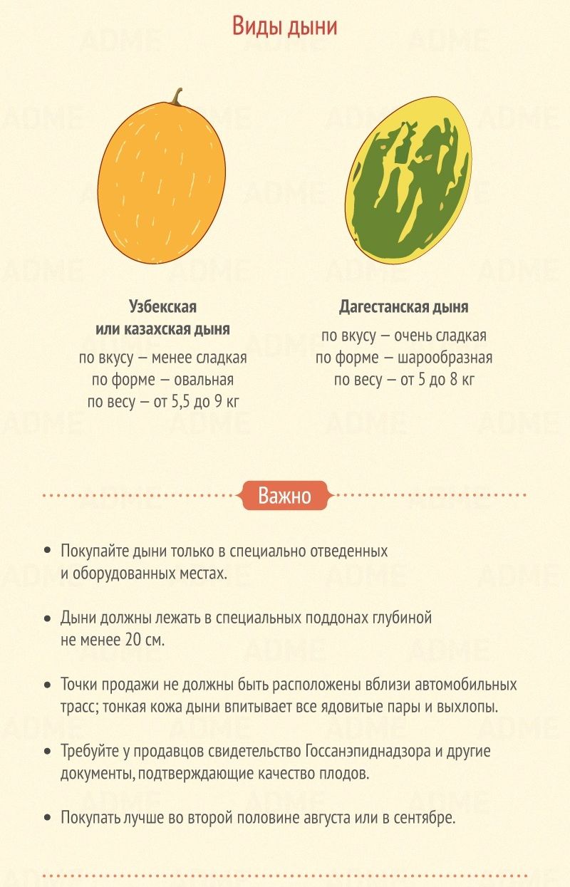 как выбрать арбуз, как выбрать дыню