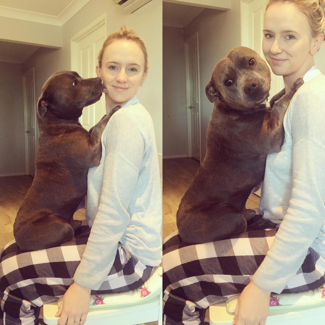 Собаки-обнимаки, милые стаффордширы, Даррен и Филипп, Blueboys dogs