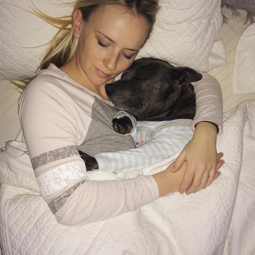 Собаки-обнимаки, милые стаффордширы, Даррен и Филипп, Blueboys dogs