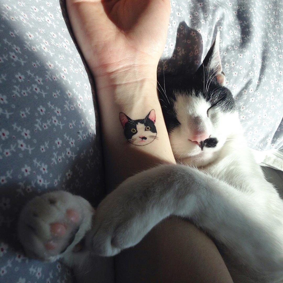 тату с кjшками, кошачьи тату, tattoo with cat