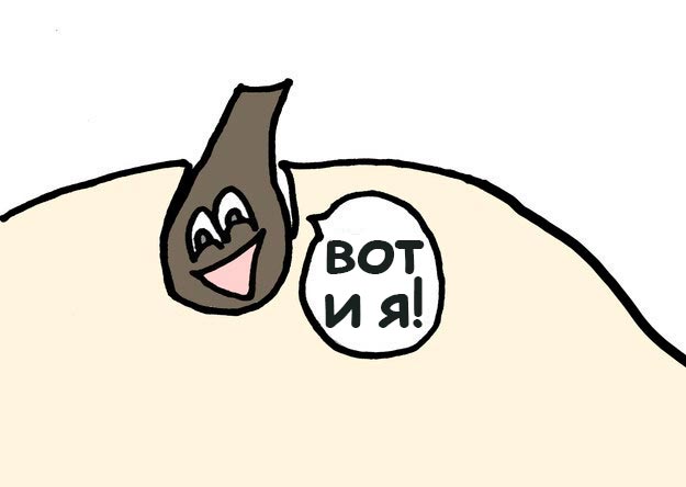 факты о волосах, неприятные факты, неприятные факты о волосах