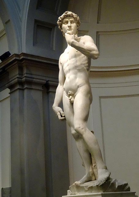 факты о волосах, неприятные факты, неприятные факты о волосах