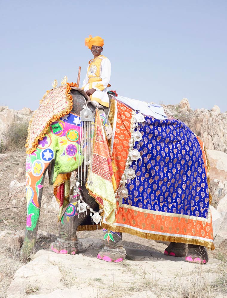 слоновий макияж, макияж слонов, фестиваль раскрашенных слонов, тюнинг слонов