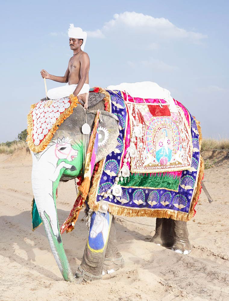 слоновий макияж, макияж слонов, фестиваль раскрашенных слонов, тюнинг слонов
